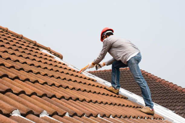 Best Sheet Metal Roofing  in Irwin, PA